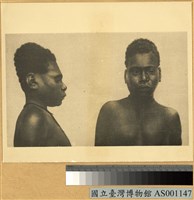 藏品(男人正面與側面頭像)的圖片